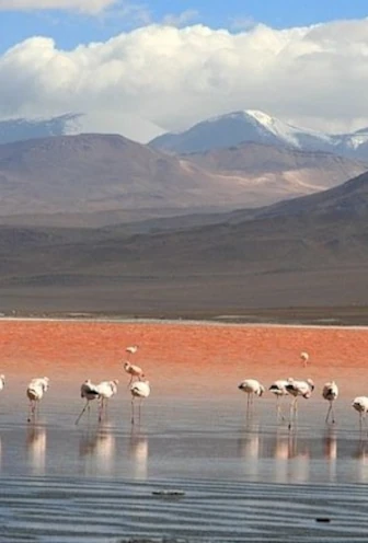 Laguna Colorada