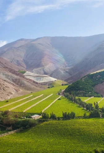 Elqui Valley