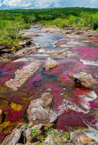 Caño Cristales
