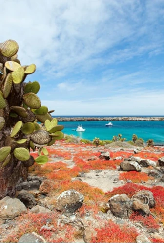 North Seymour Island