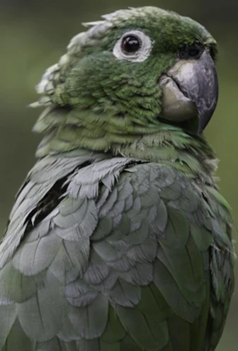 Ecuador